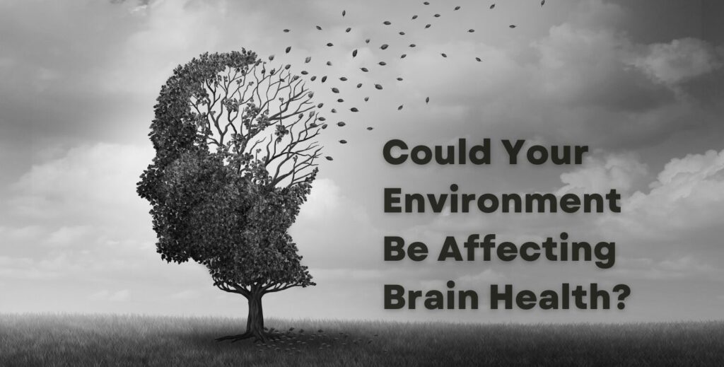 Learn how Your Environment Impact Dementia 